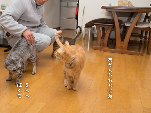 もじもじくん再び_d0355333_16422914.jpg