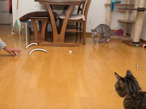 もじもじくん再び_d0355333_16422954.jpg
