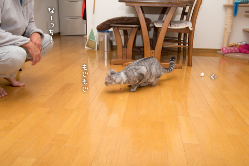 もじもじくん再び_d0355333_16422968.jpg