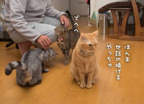 もじもじくん再び_d0355333_16423083.jpg
