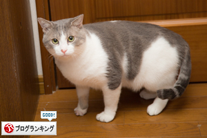 きゅうちゃんも_d0355333_16423685.jpg