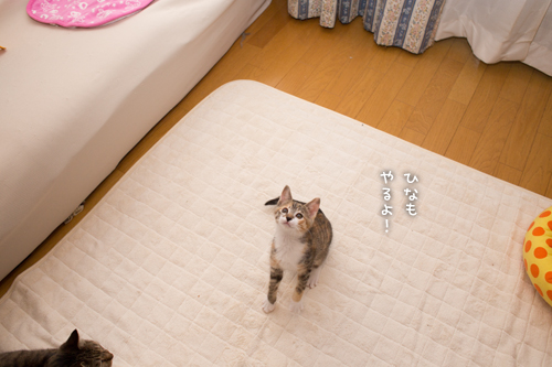 ジャンピングミケミケ_d0355333_16425467.jpg