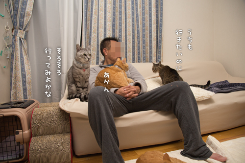 モテてモテて困っちゃう_d0355333_16430055.jpg