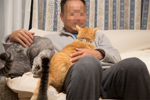 笑子たんの、ええ考え_d0355333_16430149.jpg