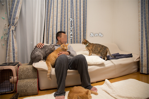 笑子たんの、ええ考え_d0355333_16430226.jpg