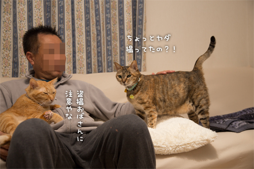 笑子たんの、ええ考え_d0355333_16430238.jpg