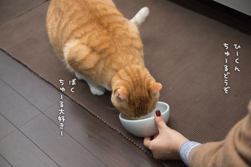 聖くんの旅立ち_d0355333_16430413.jpg