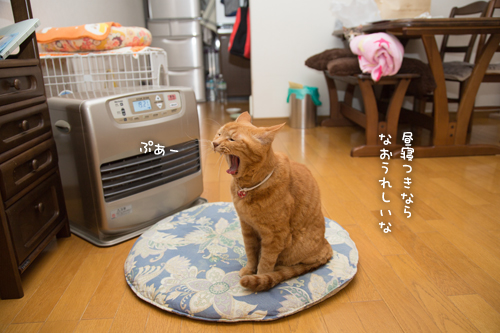ソロくんリーマン_d0355333_16430719.jpg