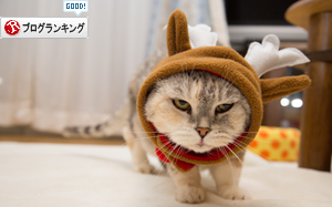 メリークリスマス!_d0355333_16430731.jpg
