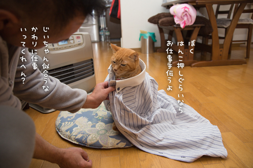 ソロくんリーマン_d0355333_16430745.jpg