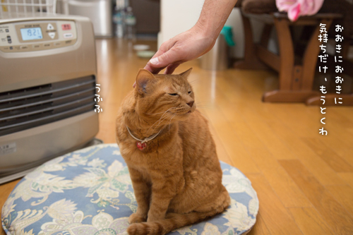 ソロくんリーマン_d0355333_16430772.jpg