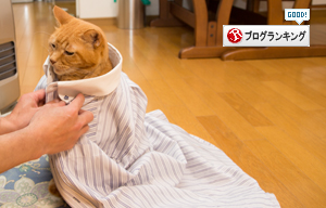ソロくんリーマン_d0355333_16430795.jpg