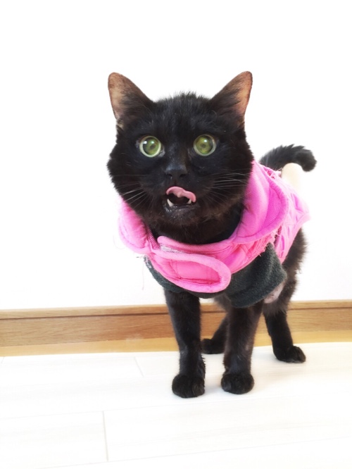 みつきちゃんの病院~_d0355333_16430933.jpg
