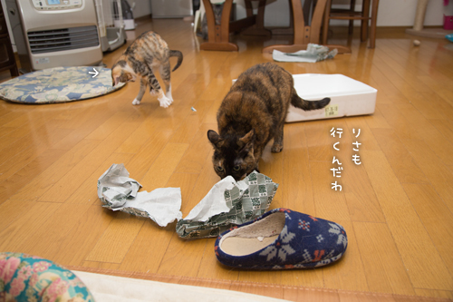 年末のプレゼント_d0355333_16431050.jpg