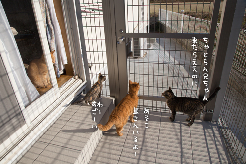 あけましておめでとうございます!_d0355333_16550204.jpg