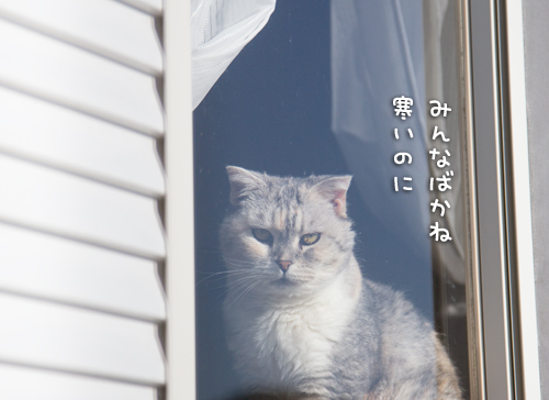 あけましておめでとうございます!_d0355333_16550262.jpg