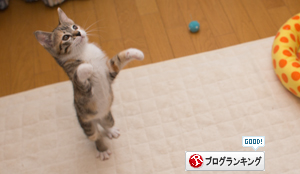 なじみまくりー_d0355333_16550673.jpg