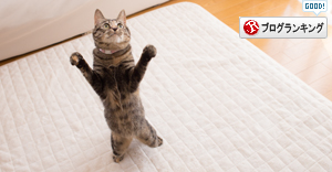 猫のなる木にて_d0355333_16550933.jpg