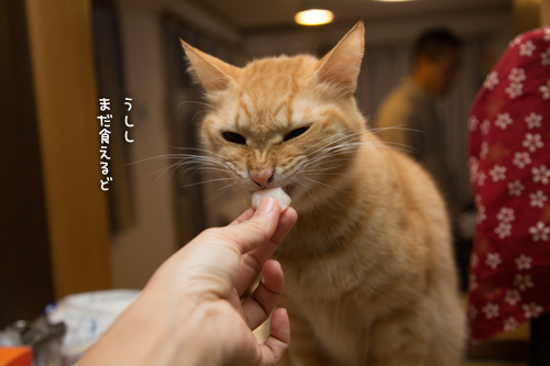 いけるクチ_d0355333_16551570.jpg