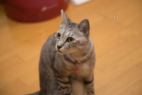 あの子。_d0355333_16552712.jpg