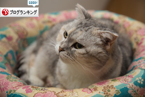 ○まるまる○_d0355333_16552795.jpg