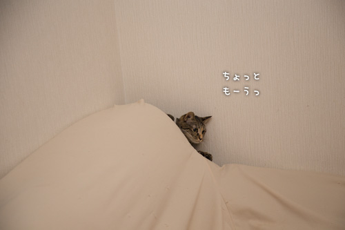 ぶっちぎりの悪い子_d0355333_16552976.jpg