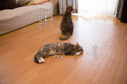 白いホカペがほしい_d0355333_16553996.jpg