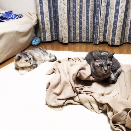 ドキドキ・・だけど_d0355333_16554256.jpg