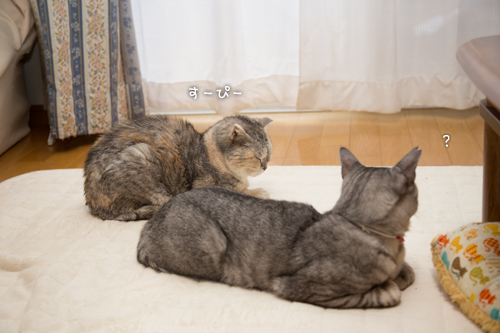 ドキドキ・・だけど_d0355333_16554297.jpg