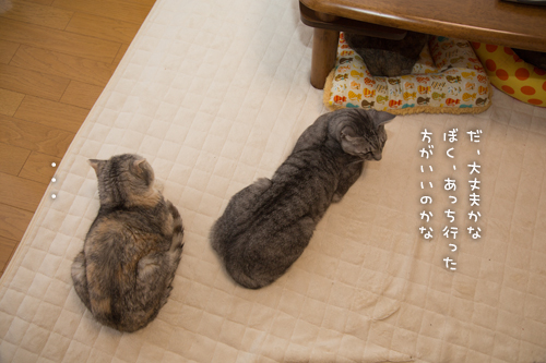 ドキドキ・・だけど_d0355333_16554374.jpg