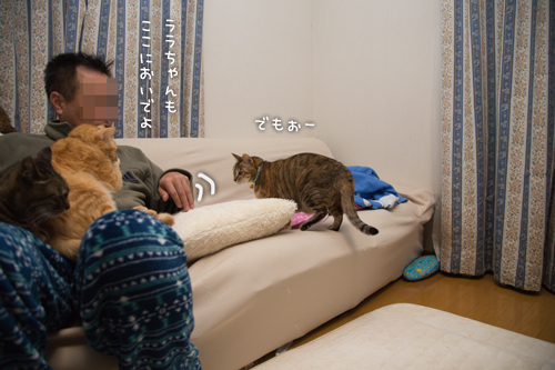 意を決して_d0355333_16554761.jpg