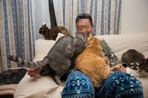 意を決して_d0355333_16554766.jpg