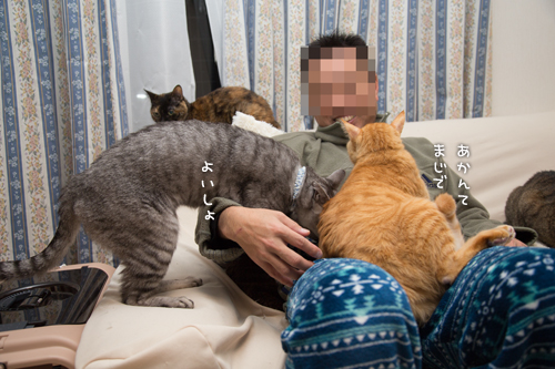 意を決して_d0355333_16554782.jpg