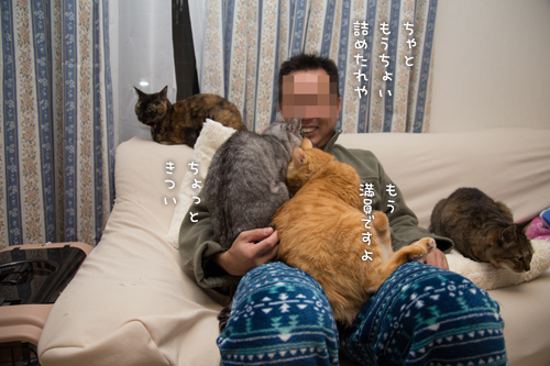 意を決して_d0355333_16554809.jpg