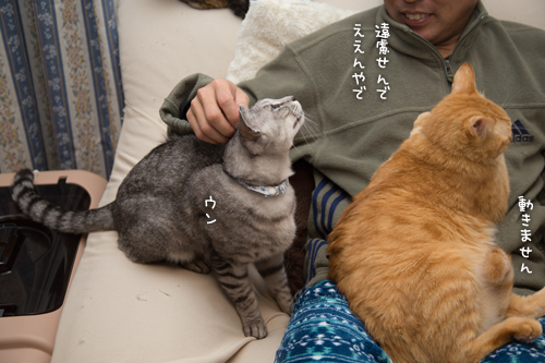 意を決して_d0355333_16554833.jpg