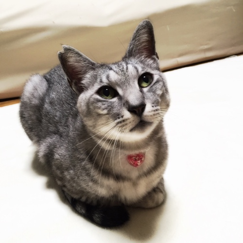 なっちゃんが(´・艸・`)_d0355333_16555217.jpg
