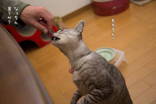 復活の狼煙は_d0355333_16560085.jpg