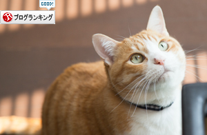 聖くんの近況報告!_d0355333_16560094.jpg
