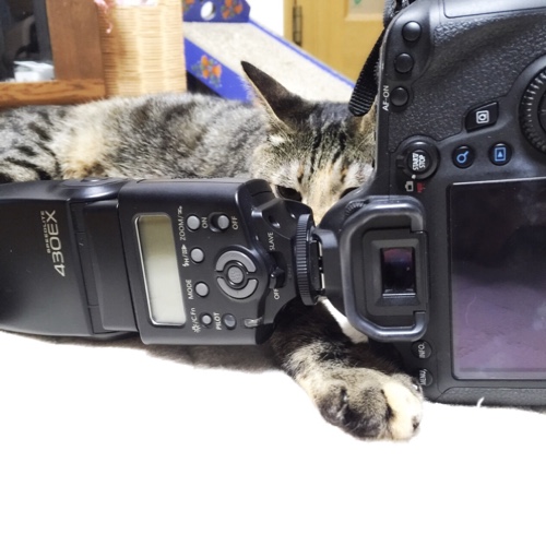 使用中ですよ_d0355333_16561463.jpg