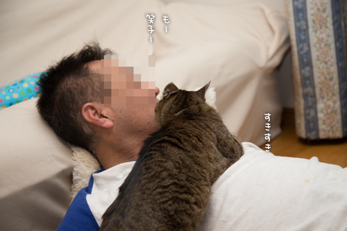よいポジションは?_d0355333_16561736.jpg