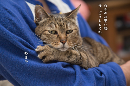 とりあえず、におてみて?_d0355333_16561903.jpg
