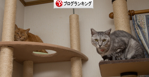 タワーのてっぺん_d0355333_16563507.jpg