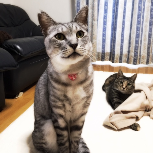 あごが腫れた!_d0355333_16564012.jpg