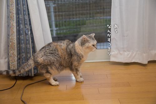 さようならソファ_d0355333_16571626.jpg