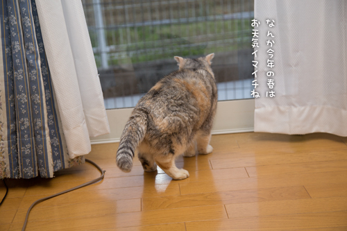 さようならソファ_d0355333_16571706.jpg