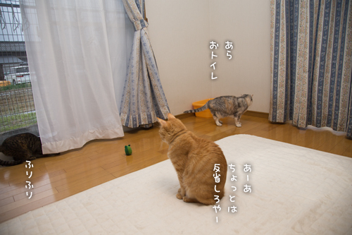 さようならソファ_d0355333_16571722.jpg