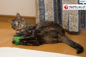 さようならソファ_d0355333_16571732.jpg