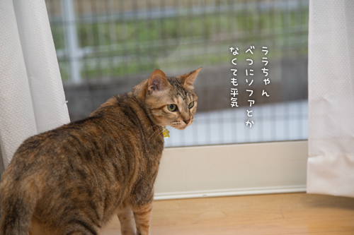 さようならソファ_d0355333_16571763.jpg