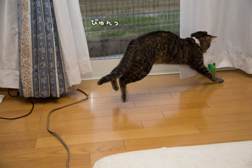 さようならソファ_d0355333_16571770.jpg