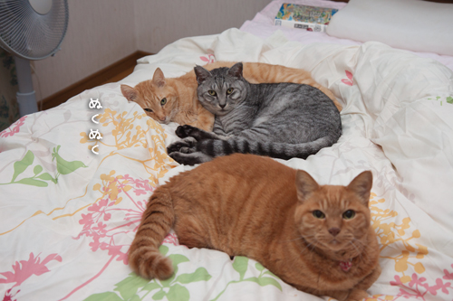 寒い日は。_d0355333_17003146.jpg
